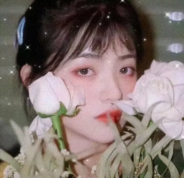 牧蜂姑娘